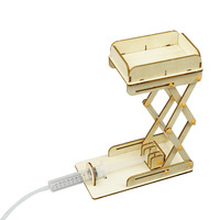 Plataforma Elevadora Hidráulica DIY de Madera, STEM, para Estudiantes, Experimentos Escolares, Invención, Experimento Científico, Juguetes Modelo, Ecológicos