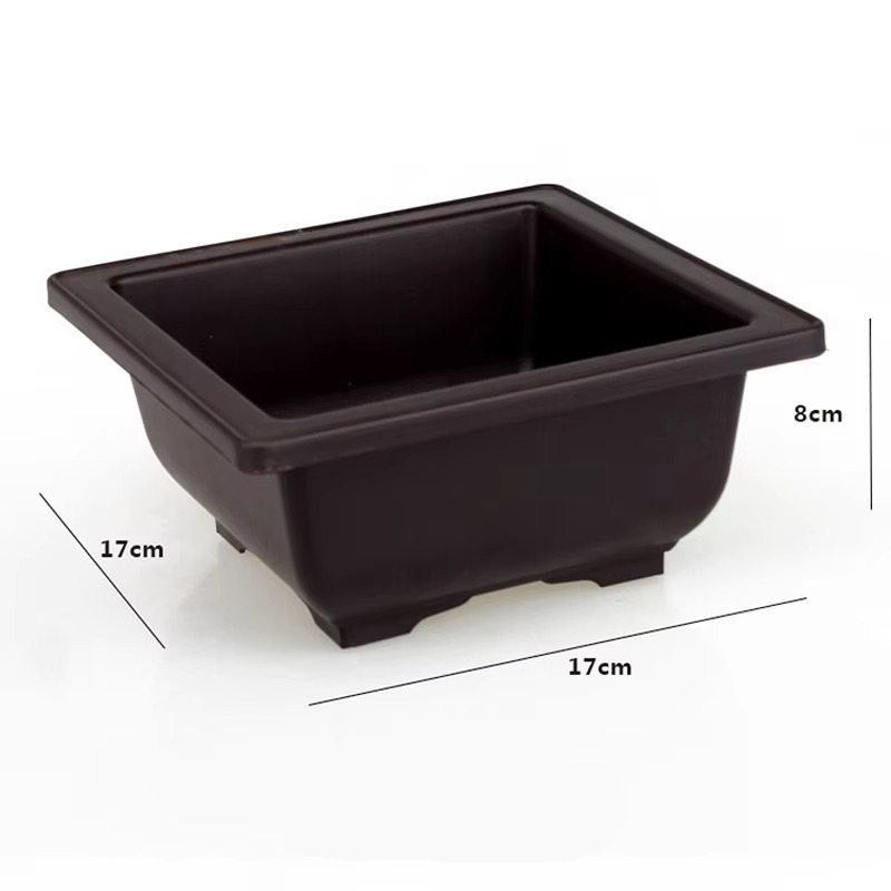 17cm