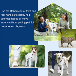 Harnais de levage pour chien avec poignée, pour chiens âgés, handicapés, blessés, grands chiens, aide à la marche en extérieur, harnais de levage pour animaux de compagnie - Product Image 6