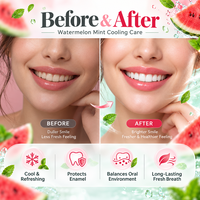 Aichun Beauty Dentifrice Menthe Rafraîchissante Pastèque pour une Haleine Fraîche et des Dents Éclatantes – Fabricant de Dentifrice à la Menthe Glaciale