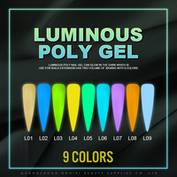 RONIKI Gros Marque Privée Fluorescence Gel Ongles Extension Poly Gel Lumineux Acrylique Extension Solide Constructeur Pour Les Femmes