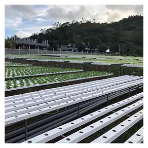 Sistemas de cultivo hidropônico vegetal folhosas flor de alface cebola verde em estufa para plantio de tomate