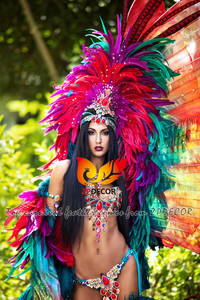 ZPDECOR - Plumas de <span class=keywords><strong>Gallo</strong></span> Coque al por Mayor, 35-40 cm, Teñidas de Turquesa con Verde Lima, para Disfraces de Samba y Carnaval - Product Image 6