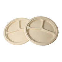 Assiette jetable en bagasse de 10 pouces, 3 compartiments, emballage alimentaire pour événements extérieurs et réunions de famille – Meilleures ventes