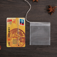 Sachets de Thé en Nylon Transparents Vides, Jetables, avec Cordon, Sacs Filtres Thermoscellables pour Épices, Herbes et Thé en Vrac