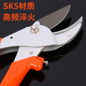 Sécateur double pour pin, acier SK5, trempage haute fréquence, manche orange, pour la taille des arbres fruitiers - Product Image 1