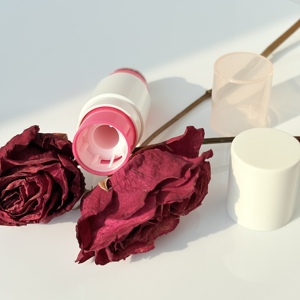 Personalizzato di alta qualità a doppia <span class=keywords><strong>testa</strong></span> <span class=keywords><strong>vuota</strong></span> nero Blush pennelli correttore Stick Stick per il trucco Set fondotinta contorno Blush - Product Image 4