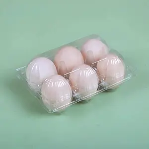 Disposable PET Plastic Egg Tray With Lid 2-24 Egg Capacity UV Coating And Embossing Printing Handling