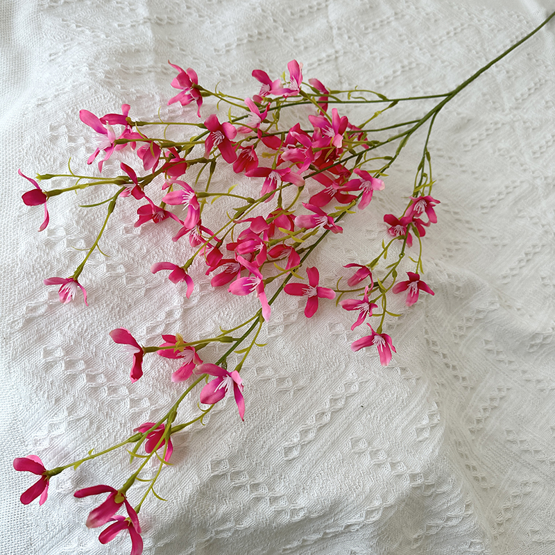 rose pink