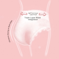 Insoftb Échantillon Gratuit Nouvelle Arrivée Vente en Gros Culottes Menstruelles en Coton Culottes de Période Jetables Respirantes