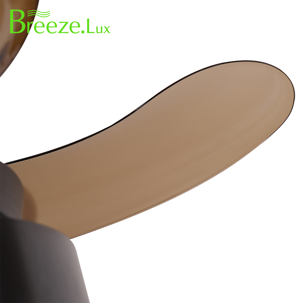 Decorative ceiling fan light
