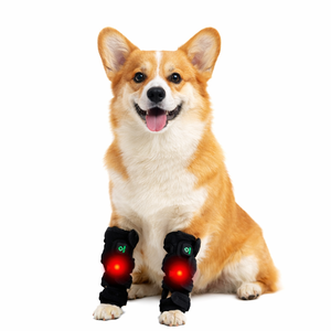 حزام العلاج بالضوء الأحمر القابل للتعديل للحيوانات الأليفة من باوبريو للكلاب والقطط 660 نانومتر 850 نانومتر بالأشعة تحت الحمراء لتخفيف آلام التهاب المفاصل صديق للبيئة ومتين للاستخدام المنزلي - Product Image 1