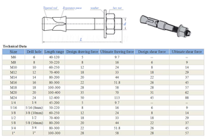 Tùy chỉnh 20mm M12 18mm M20 8mm M6 16mm M10 M16 M24 mở rộng nêm Neo thép không gỉ mạ kẽm kẽm inch bê tông Bolt - Product Image 4