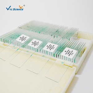 50/100 Piezas de Portaobjetos de <span class=keywords><strong>Microscopio</strong></span> de Alta Calidad Preparados por <span class=keywords><strong>Mitosis</strong></span> y Meiosis para Investigación Educativa - Product Image 4