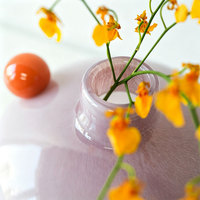 Vase en verre rond de style pastel avec accent de boule orange, vase décoratif pour fleurs, décoration d'intérieur, centre de table, étagère de salon