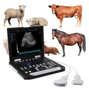 Instrumentos Médicos de Ultrasonido, Máquina de Ultrasonido Usada con <span class=keywords><strong>Doppler</strong></span> Color <span class=keywords><strong>3D</strong></span> 4D para Humanos - Product Image 1