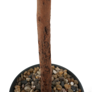 Nouvel arrivage <span class=keywords><strong>de</strong></span> <span class=keywords><strong>laurier</strong></span> artificiel moderne en plastique Plantes d'aménagement paysager décoratives d'apparence réelle pour l'intérieur et l'extérieur - Product Image 4