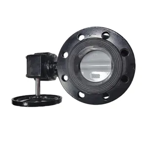 6 Inch Dn150 Cf 8M Roestvrijstalen Wafer Type En Dubbele Flens Elektrische Actuator Gemotoriseerde Epdm Stoel Vlinderklep