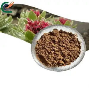 Polvo de extracto de Rhodiola a base de hierbas de alta calidad, polvo de glucósido de Rhodiola, extracto de raíz de Rhodiola
