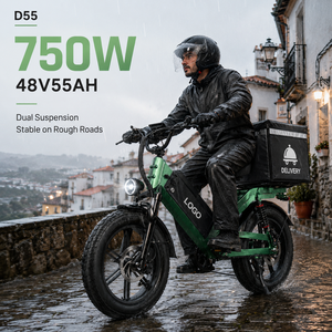 Bicicleta Eléctrica de Carga D55 E-MTB con Llantas Gruesas de 20 Pulgadas, 750W, 48V55Ah, Alcance de 240 km, OEM, Doble Suspensión, Venta al Por Mayor - Product Image 1