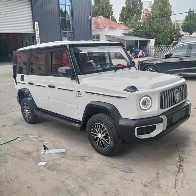 2025 New Arrival Eco-friendly Adult Cheap Mini 4 Wheeler XingBa Electric Vehicles
