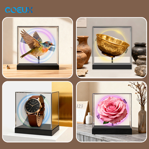 Quảng cáo tự động chơi Full HD LED Máy nghe nhạc quảng cáo với độ phân giải 4K 20cm LED fan 3D Hologram hiển thị Hologram Fan 3D - Product Image 6