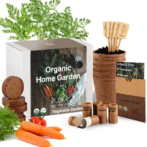 Новинка, подарки, сертифицированный USDA, органический без ГМО, травяной комнатный набор для овощей, детский садовый набор, ручной инструмент, вишня, помидор, салат, морковь