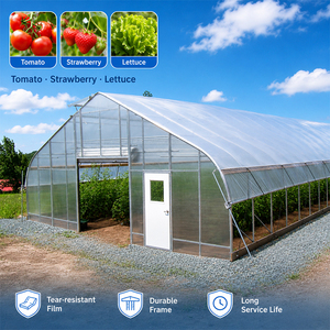 Durable Single Span Agricultural <strong>Greenhouse</strong> Galvanized Frame <strong>Plastic</strong> Film <strong>Greenhouse</strong> Agricultural <strong>Greenhouses</strong> - Product Image 1