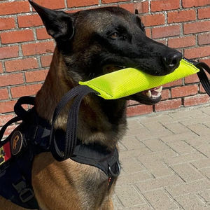 Juguete Masticable Anti-Mordeduras para Perros, de Algodón Ecológico, Duradero, para Entrenamiento de Agilidad, Cuidado Dental Suave, Estilo Moderno - Product Image 6