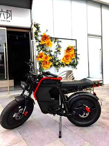 Bicicleta Eléctrica Vintage Street de 500w/1000w para Montaña, con Llantas Gruesas de 20 Pulgadas, para Viajes al Aire Libre, Desplazamientos Diarios, Modelo X11, Batería de Alta Capacidad - Product Image 3