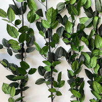 Vente en gros de feuilles de rose préservées, branches de rose de 60-70 cm, tiges de rose éternelle vertes longues pour dôme en verre