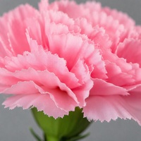 Bouquet de fleurs artificielles en soie de 8 cm, style pastoral, pour la fête des mères, la Saint-Valentin, arrangements en panier, idéal pour l'accueil