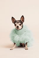 INS – pull de luxe pour chien, Style Dowager, pour animaux de compagnie, automne et hiver, chaud, fourrure pour chien, dame, luxe, chat, chien