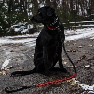 Groothandel Mode Hond & Kat Training Loden Riem Set Sterk Heavy Duty Touw Met Oplaadbare Lichte <span class=keywords><strong>Cartoon</strong></span> Stijl Hondenhalsband - Product Image 1