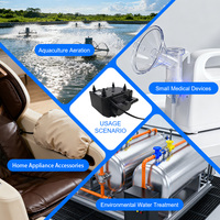 Pompe à air électromagnétique micro-mini à basse pression AC 24V 50Hz personnalisée pour l'inflation industrielle
