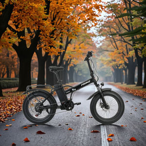 Vélo tout-terrain <span class=keywords><strong>électrique</strong></span> pliant de 20 <span class=keywords><strong>pouces</strong></span>, moteur <span class=keywords><strong>1000W</strong></span>, batterie au Lithium, vente à chaud - Product Image 4