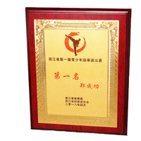 JinZun logo personnalisé base métal trophée award kung fu Taekwondo or statue trophée médailles