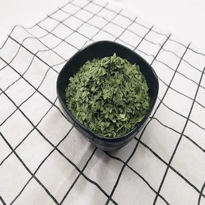 Offre Spéciale : Flocons d'<span class=keywords><strong>Oignon</strong></span> Vert Séché de Qualité Alimentaire, Norme Internationale, Meilleures Ventes - Product Image 5