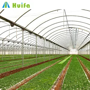 优质蔬菜生产镀锌钢塑料温室低成本农业温室