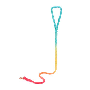 Verstellbares Nylon-Hunde leinen halsband Set Schnell verschluss Geflochtenes Paracord Niedliches festes Muster mit reflektieren dem Baumwoll-Hanfseil - Product Image 5