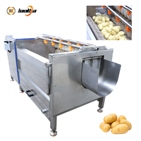 Machine automatique de nettoyage, lavage et pelage de fruits et légumes 800 kg/h, avec brosse pour pommes de terre