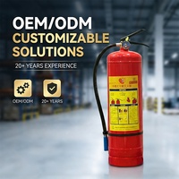 Extincteur portable ABC à poudre sèche en acier au carbone de 2 kg, vide, fabriqué par un fabricant d'équipements incendie avec 30 ans d'expérience