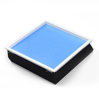 2*2 2*4 Australie Full Spectrum 60W Tuya Smart Coelux LED Blue Skylight Salle de bain