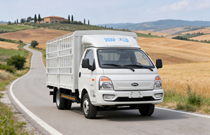 KAMA Dongfeng 4x2 Nouveau mini pick-up essence/diesel ISUZU simple cabine 2 places 5 places automatique capacité de charge 2-3T - Product Image 3