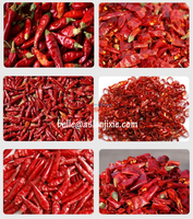 Machine de découpe de piments rouges secs pour la transformation des épices, coupe-piments, machine à retirer les graines pour les flocons de piment