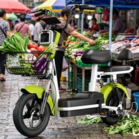 Nouveau vélo électrique à deux roues pour adultes, norme nationale - Approvisionnement transfrontalier direct d'usine