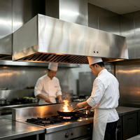 Hotte de cuisine professionnelle avec filtres à graisse amovibles pour hôtels, restaurants, cantines et projets de cuisines