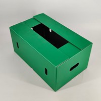 Caisse en plastique pliable pour la logistique agricole, norme européenne, robuste, empilable, emboîtable, recyclable, pour semis et plantes