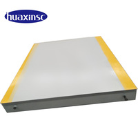Báscula Digital para Camiones de Acero Inoxidable, Tipo Pequeño, 20 Toneladas, Plataforma de 2M*3M, Personalizable OEM/ODM, Garantía de 2 Años, Certificación CE ISO