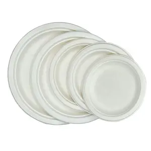 Food Grade Materiaal Ronde Plastic Borden Witte Lunchplaat Magnetron Veilig Rond Wegwerp Diner Bord